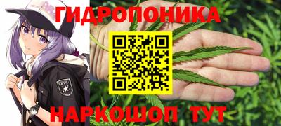 гашишное масло Новодвинск