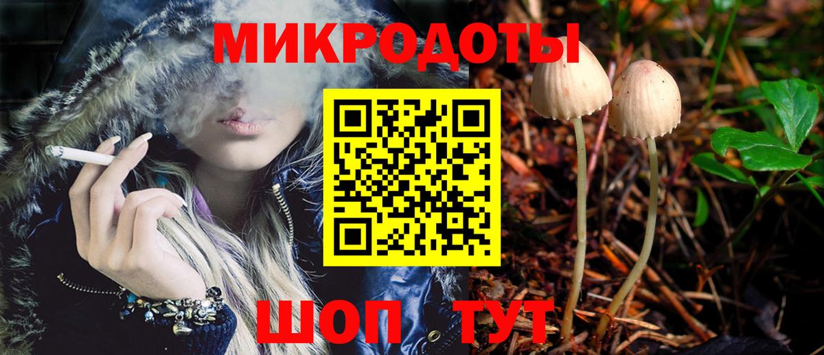 Псилоцибиновые грибы Psilocybe Краснотурьинск